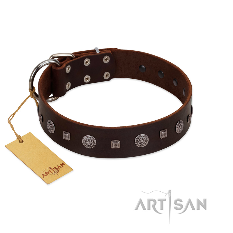 "Pure Sensation" Exclusive FDT Artisan Brown Leather Boxer Collar with Fancy Brooches and Studs