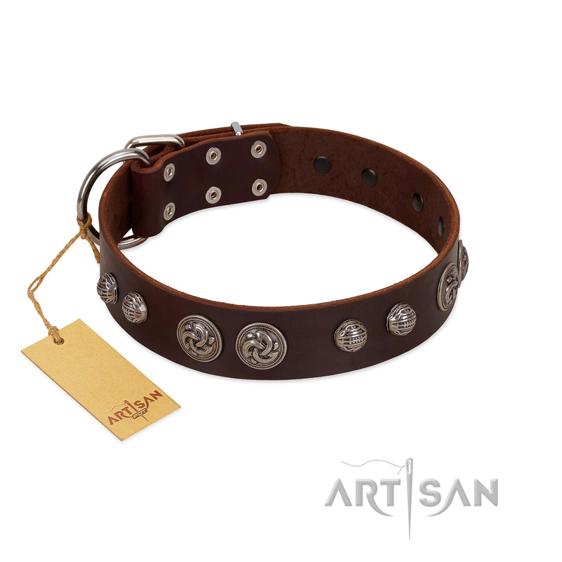 "Choco Brownie" FDT Artisan Brown Leather Boxer Collar Adorned with Silver-Like Conchos
