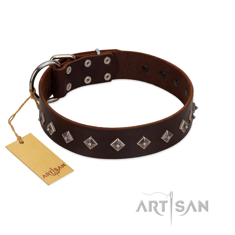 "Boundless Energy" Premium Quality FDT Artisan Brown Designer Leather Boxer Collar with Small Pyramids