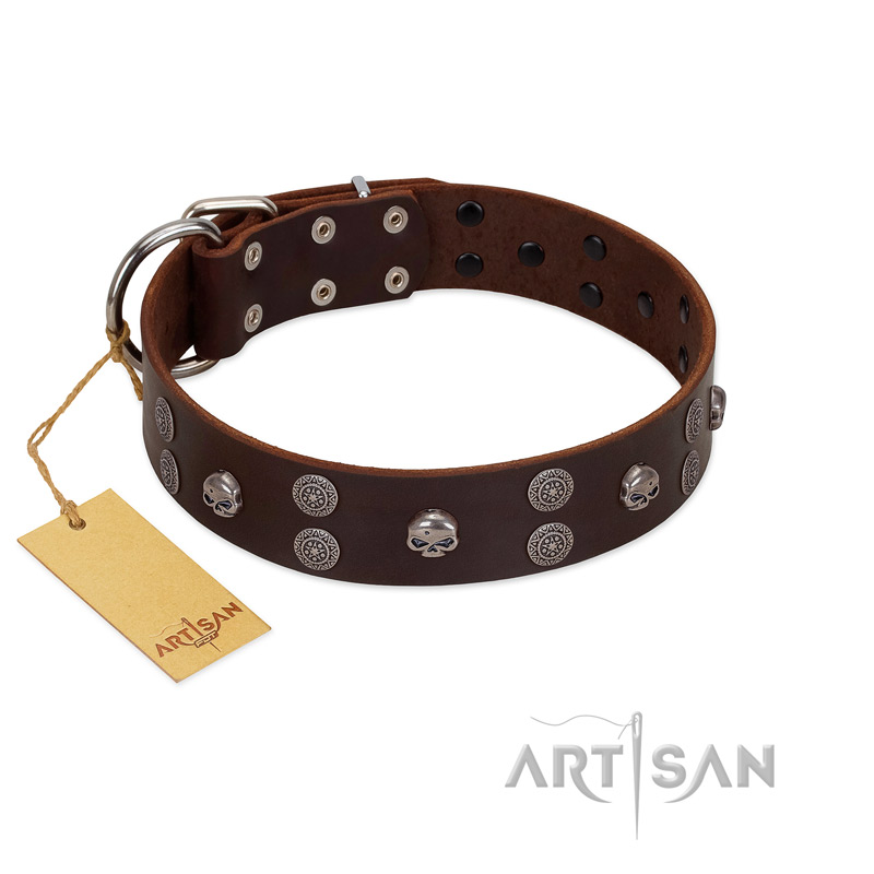 "Skull Valley" Handcrafted FDT Artisan Brown Leather Boxer Collar with Skulls