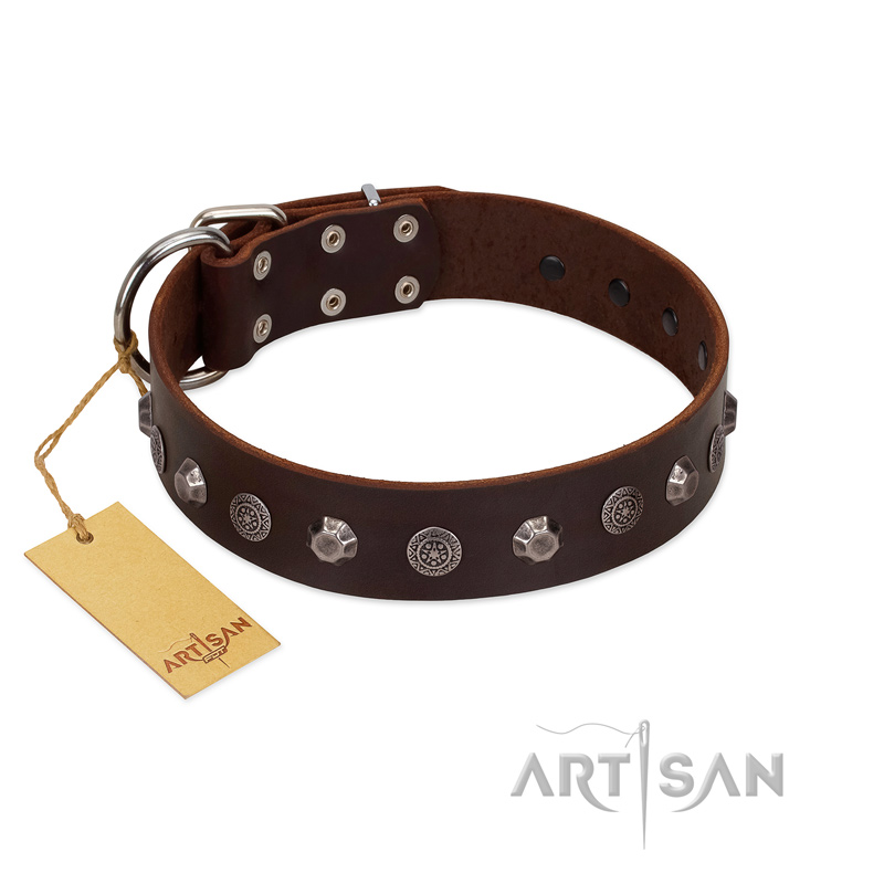 "Dark Chocolate" Handmade FDT Artisan Brown Leather Boxer Collar with Studs