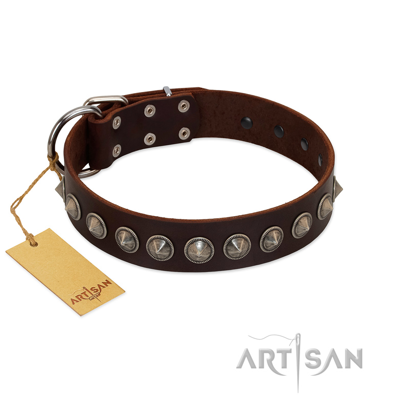 "Gothic Style" FDT Artisan Fancy Brown Leather Boxer Collar with Silver-Like Decorations