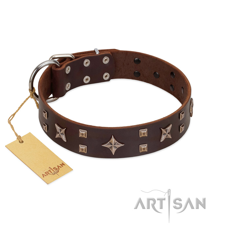 "Stars in Sands" Modern FDT Artisan Brown Leather Boxer Collar with Studs and Stars