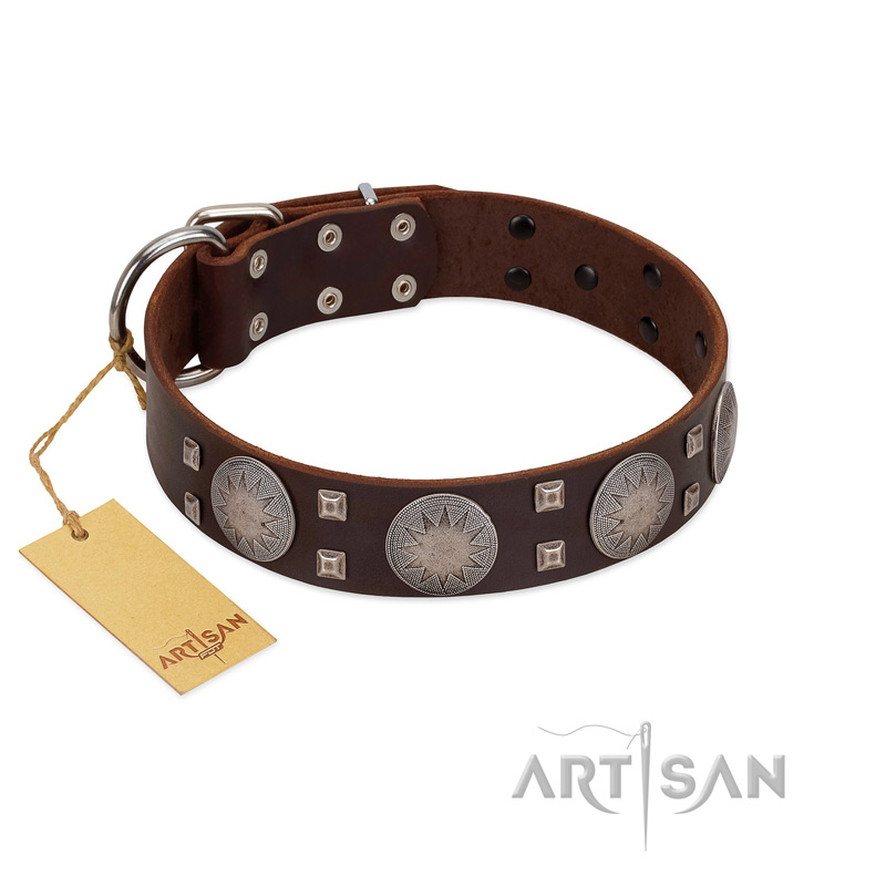 "Sun in Barchans" Modern FDT Artisan Brown Leather Boxer Collar with Engraved Stars on Round Plates and Studs - Click Image to Close