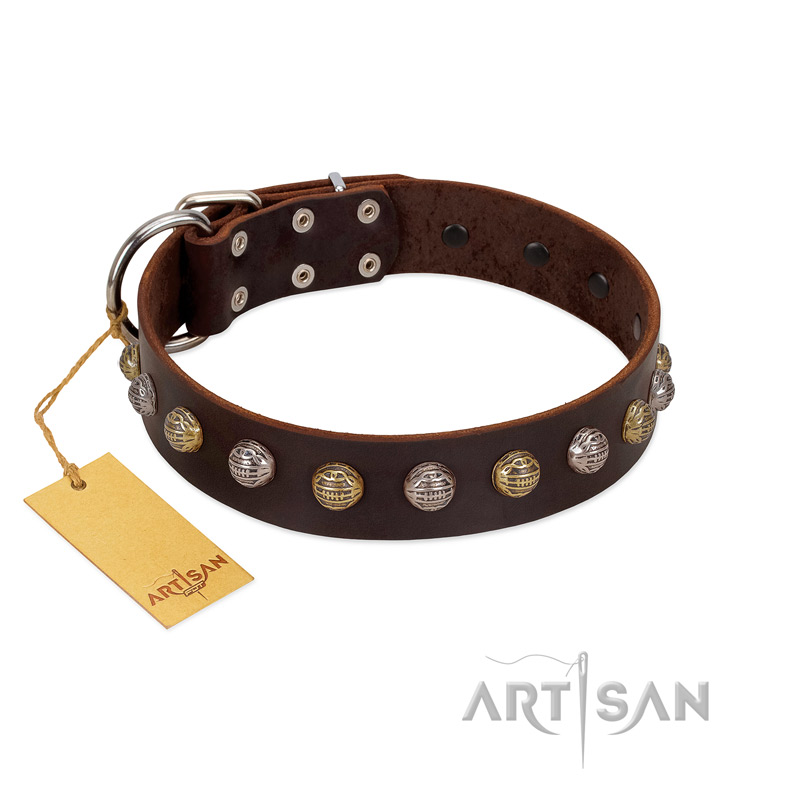 "Gape Buster" FDT Artisan Brown Leather Boxer Collar with One Row of Studs