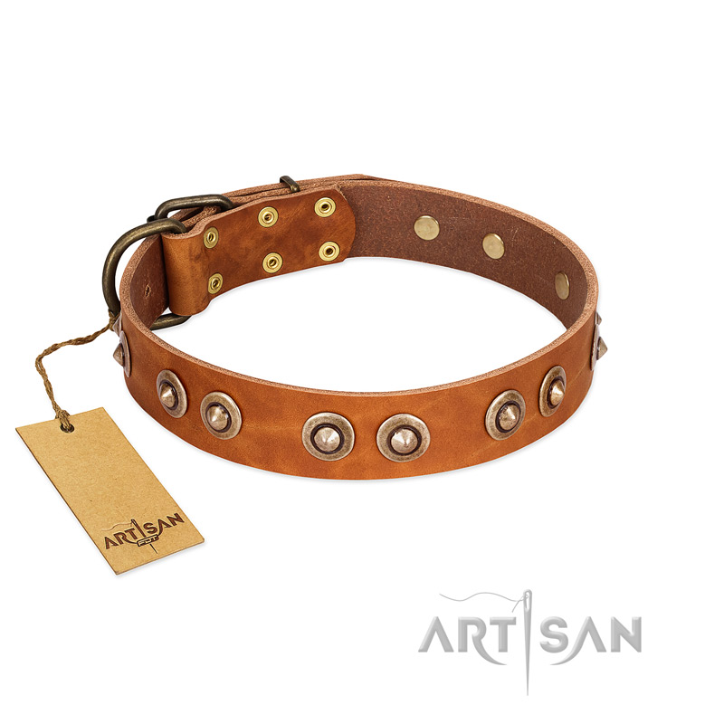 "Precious Relic" FDT Artisan Tan Leather Boxer Collar Adorned with Old Bronze Look Studs