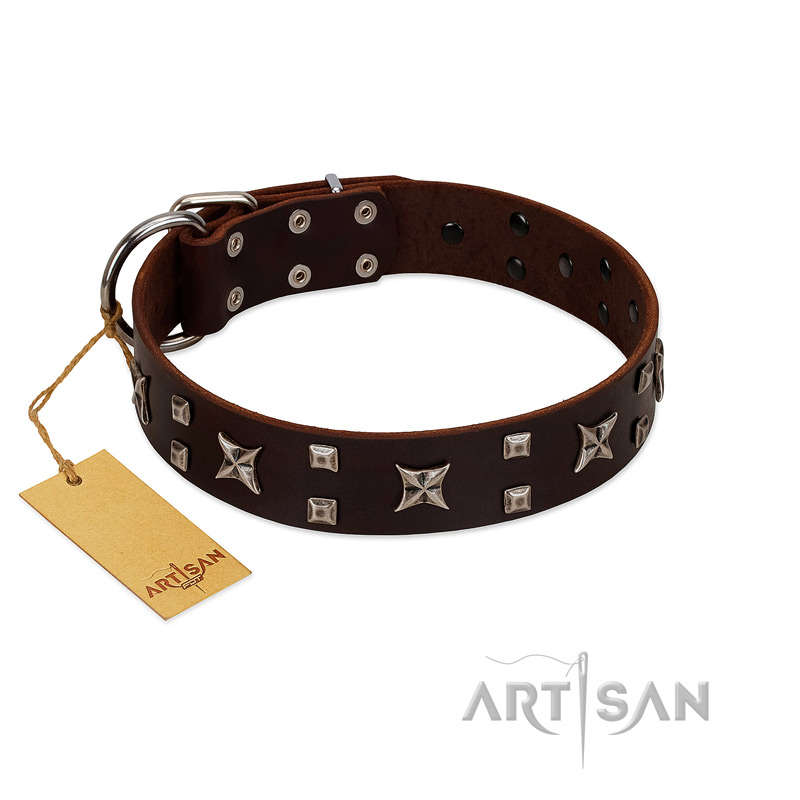 "Bigwig Woof" FDT Artisan Brown Leather Boxer Collar with Chrome Plated Stars and Square Studs