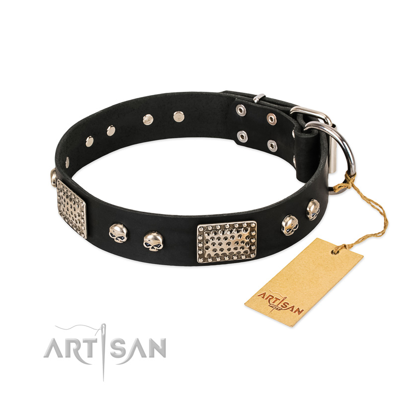 "Pirates Gold" FDT Artisan Black Leather Boxer Collar with Old Silver Look Plates and Skulls