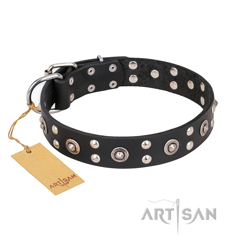 "Refined Essence" FDT Artisan Black Leather Boxer Collar with Silvery Studs