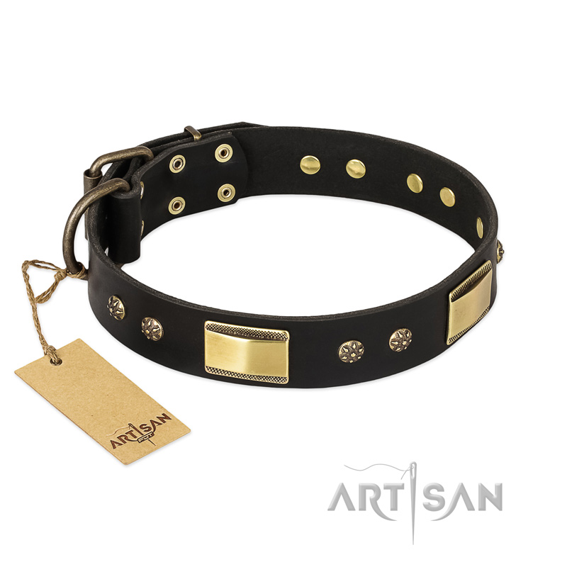"Black Sun" FDT Artisan Leather Boxer Collar with Brass Plated Decorations