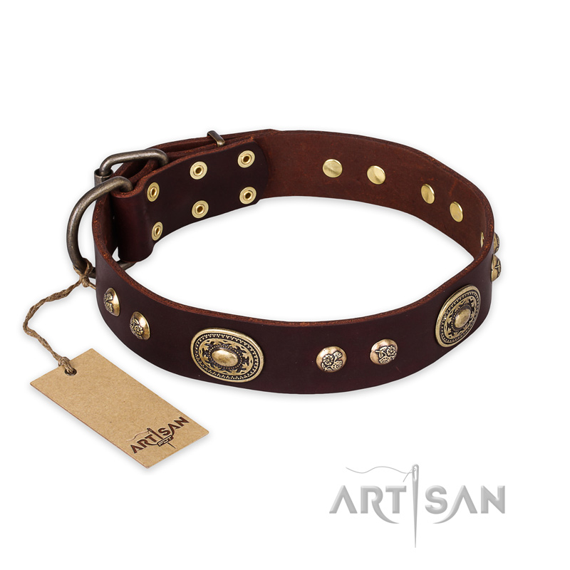 "Breath of Elegance" FDT Artisan Decorated with Plates Brown Leather Boxer Collar