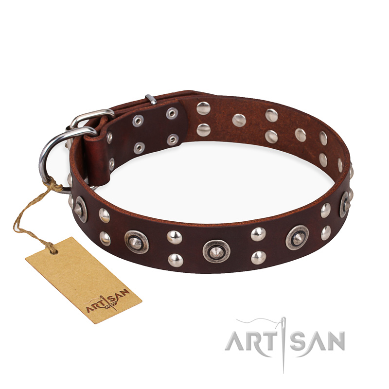 "Pirate Treasure" FDT Artisan Exciting Brown Leather Boxer Collar with Studs