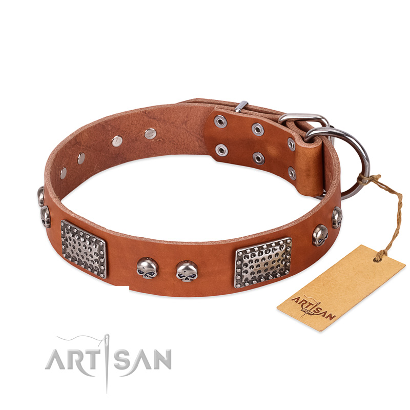 "Sparkling Skull" FDT Artisan Tan Leather Boxer Collar with Old Silver Look Plates and Skulls