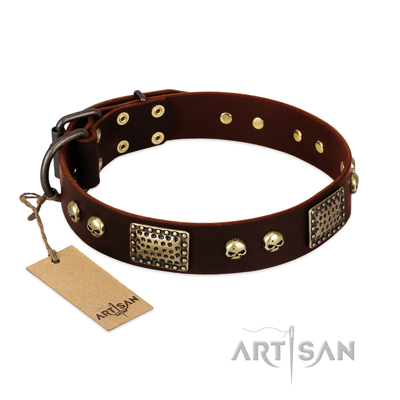 "Magic Amulet" Brown Leather Boxer Collar with Skulls and Plates