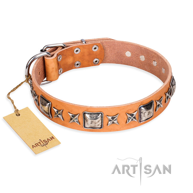 "Glamour Finery" FDT Artisan Female Boxer collar of natural leather with stylish old-looking circles