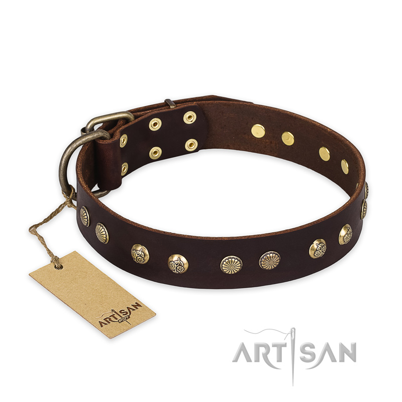 "Bronze Sheen" FDT Artisan Leather Boxer Collar with Brass-Plated Studs