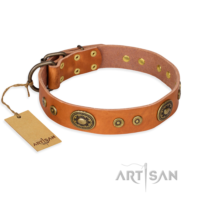 "Dandy Pet" FDT Artisan Handcrafted Tan Leather Boxer Collar