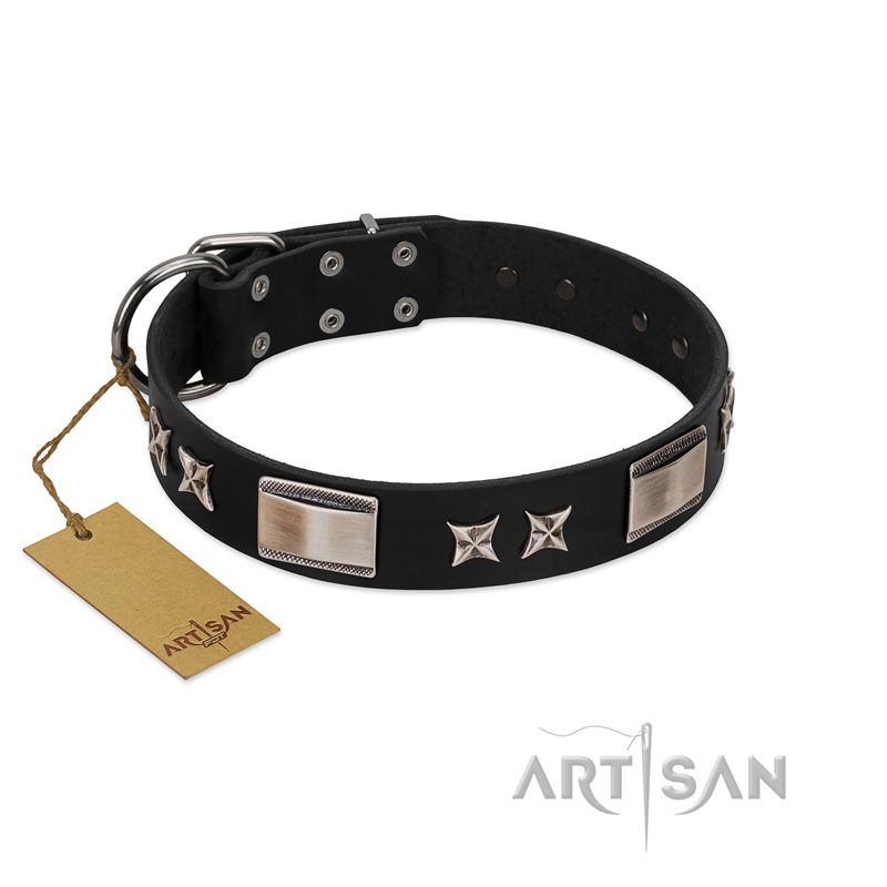 "Pitch Dark" FDT Artisan Black Leather Boxer Collar with Stars and Plates