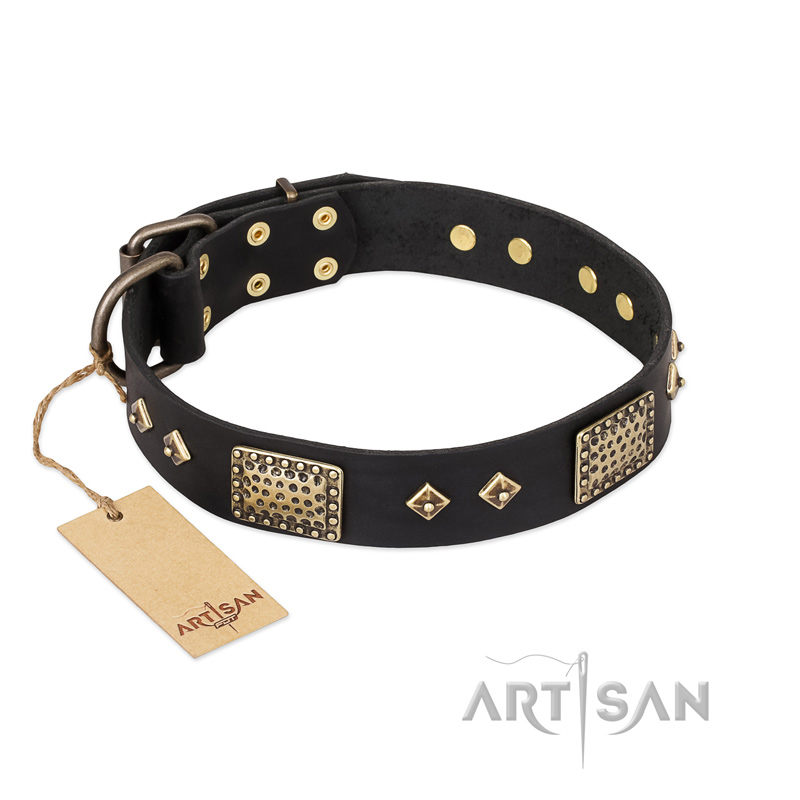 "Jewel Passion" FDT Artisan Fashionable Black Leather Boxer Collar