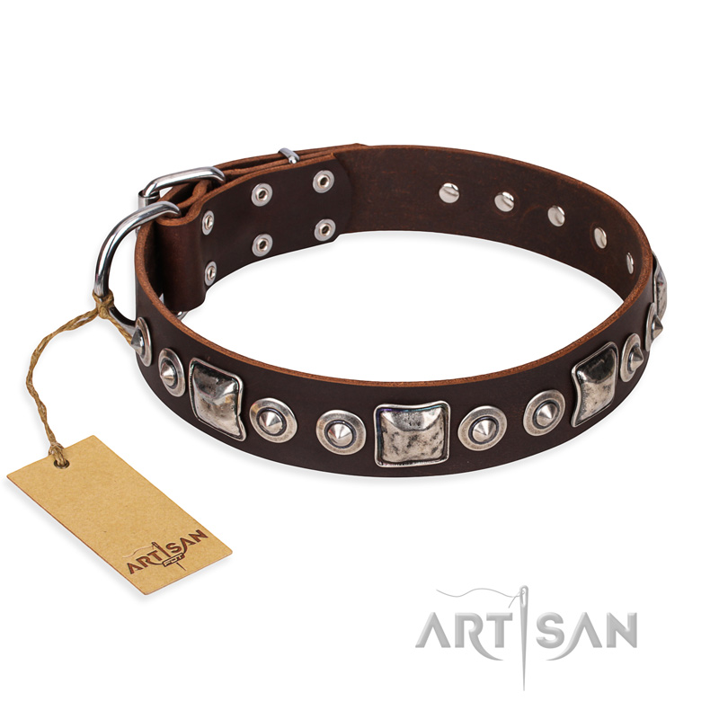 "Pierian spring" FDT Artisan Brown Leather Boxer Collar with Silvery Decorations