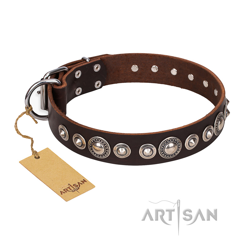 "Step and Sparkle" FDT Artisan Glamorous Studded Brown Leather Boxer Collar