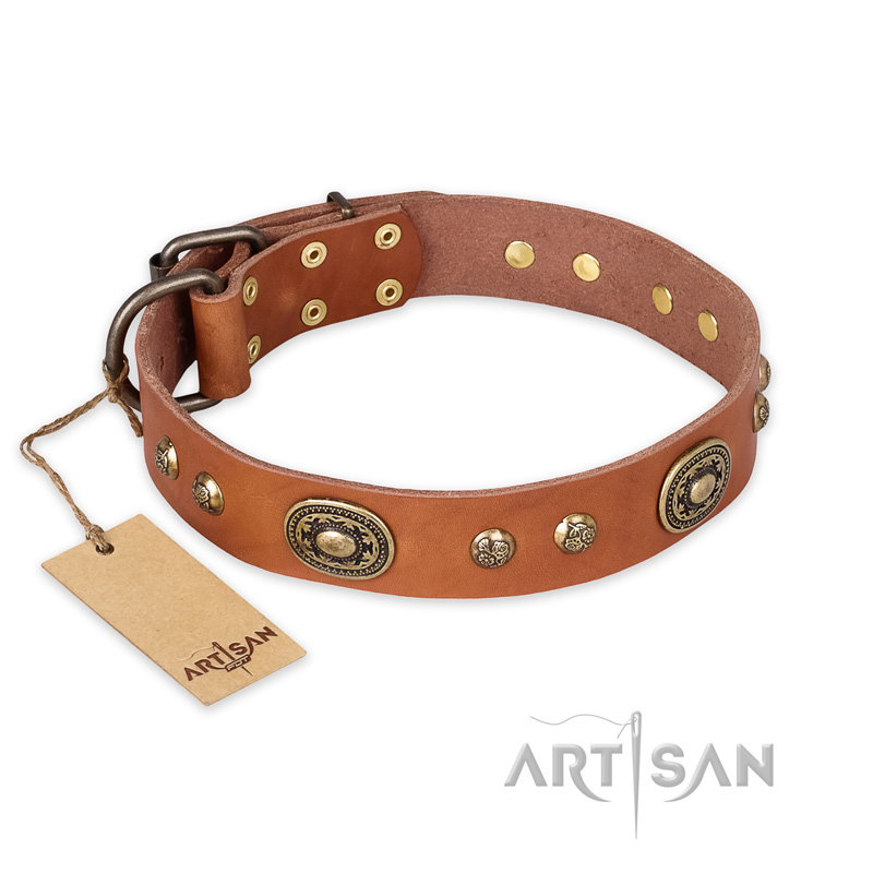 "Stunning Dress" FDT Artisan Tan Leather Boxer Collar with Old Bronze Look Plates and Studs