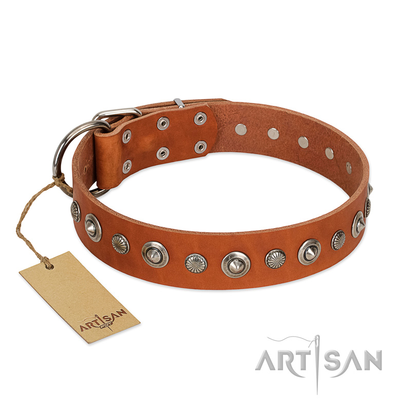 "Gorgeous Roundie" FDT Artisan Tan Leather Boxer Collar with Chrome-plated Circles