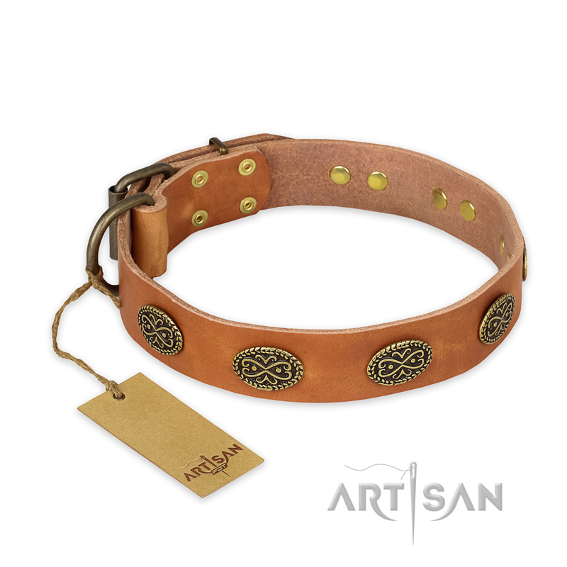 "Magic Amulet" FDT Artisan Tan Leather Boxer Collar with Oval Studs