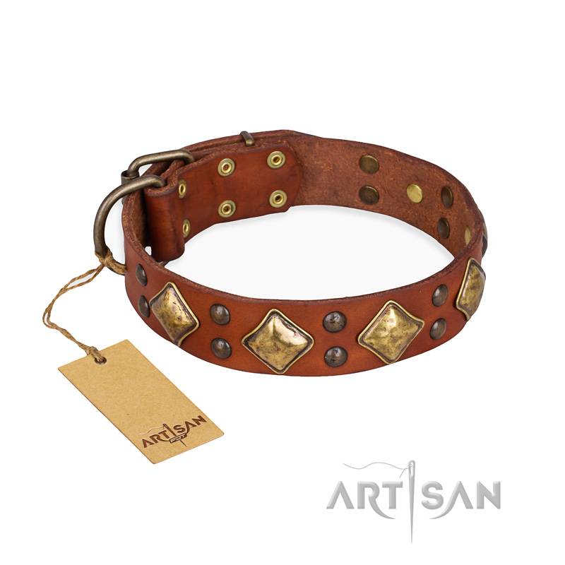 "Flight of Fancy" FDT Artisan Adorned Leather Boxer Collar