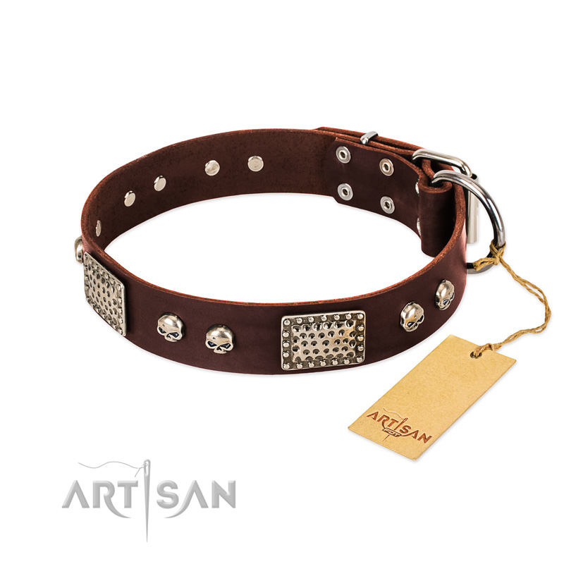 "Pirate Skull" FDT Artisan Brown Leather Boxer Collar with Old Silver Look Plates and Skulls