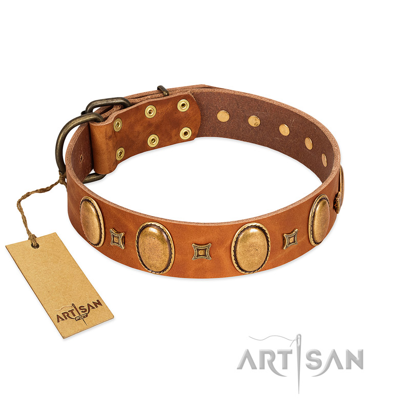 "Glossy Autumn" Designer Handmade FDT Artisan Tan Leather Boxer Collar with Ovals and Studs