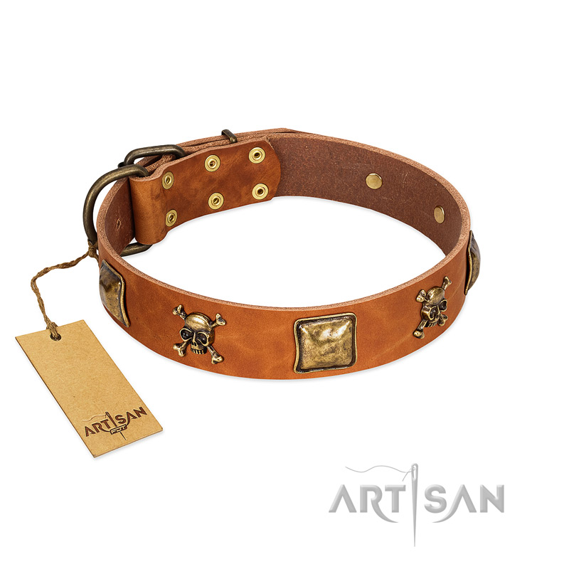 "Knights Templar" FDT Artisan Tan Leather Boxer Collar with Skulls and Crossbones Combined with Squares