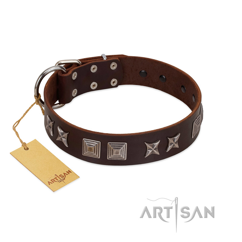 "Needle Stories" Modern FDT Artisan Brown Leather Boxer Collar with Square Engraved Plates and Four-Point Stars