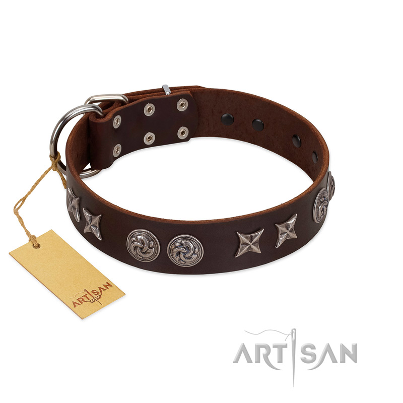 "Silver Sunset" Designer Handmade FDT Artisan Brown Leather Boxer Collar