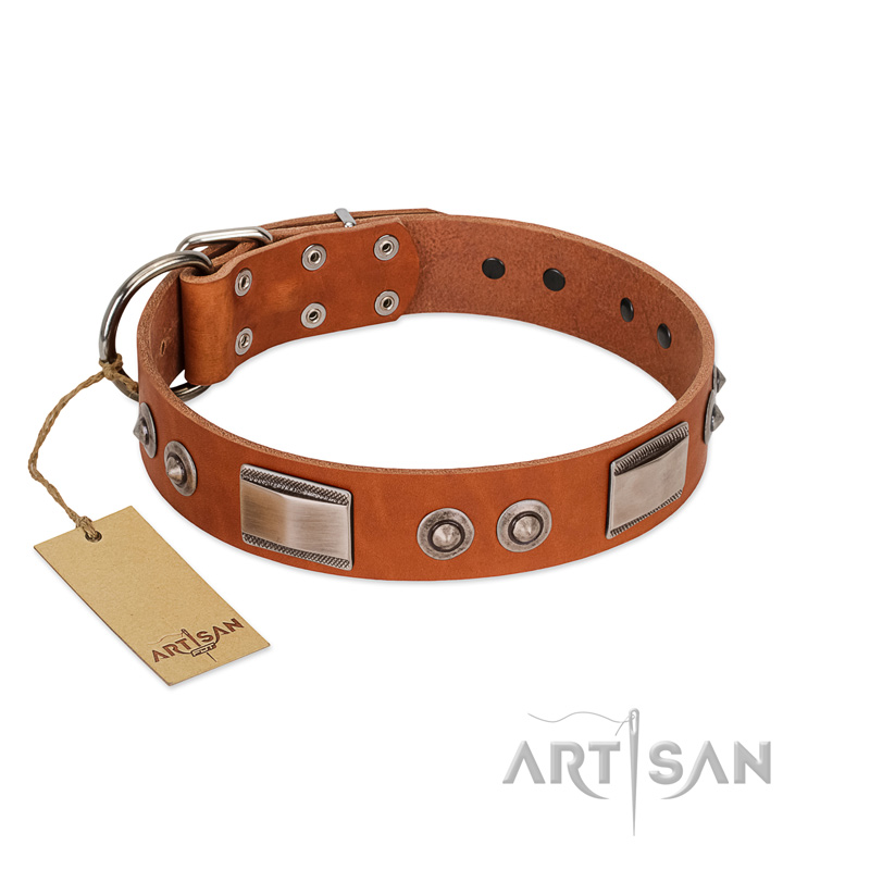 "Pawsy Glossy" FDT Artisan Exclusive Tan Leather Boxer Collar 1 1/2 inch (40 mm) wide - Click Image to Close