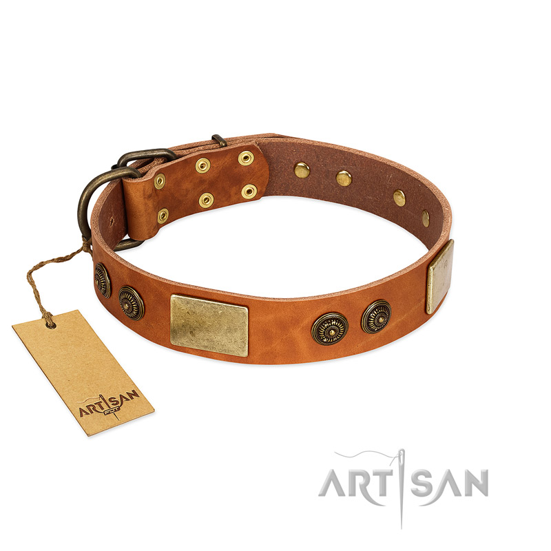 "Bronze Century" FDT Artisan Tan Leather Boxer Collar with Plates and Brooches with Cool Ornament