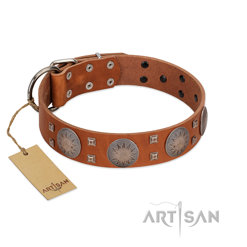 "Sun Rise Noon" FDT Artisan Tan Leather Boxer Collar with Unique Design