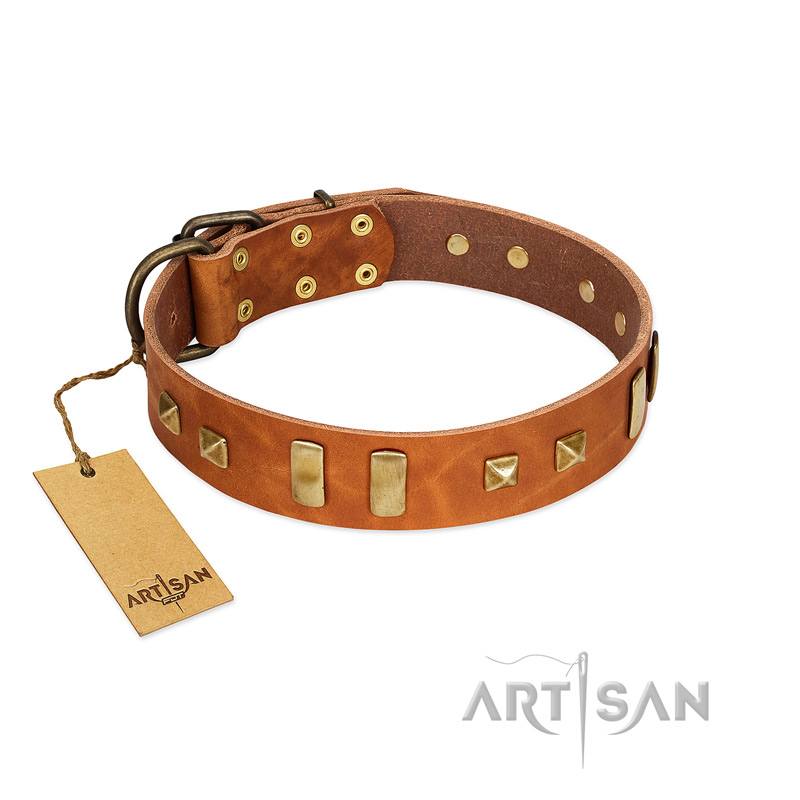 "Sand of Time" FDT Artisan Tan Leather Boxer Collar with Old Bronze-like Studs and Plates