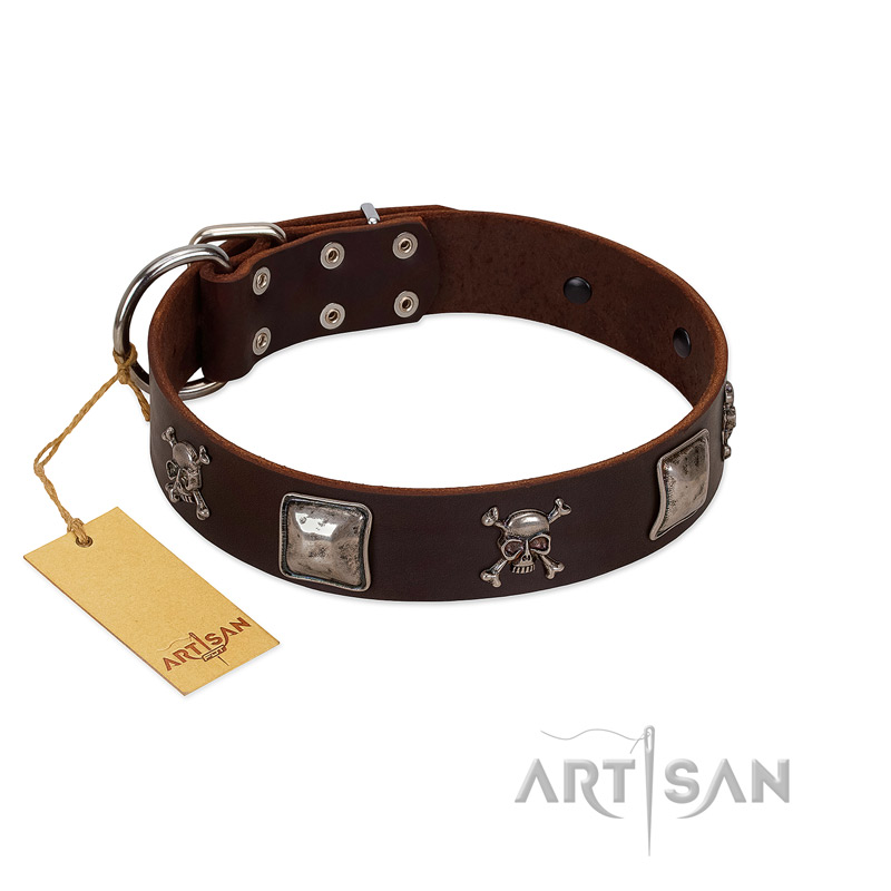 "Nut-Brown Finery" Embellished FDT Artisan Brown Leather Boxer Collar with Chrome Plated Crossbones and Plates