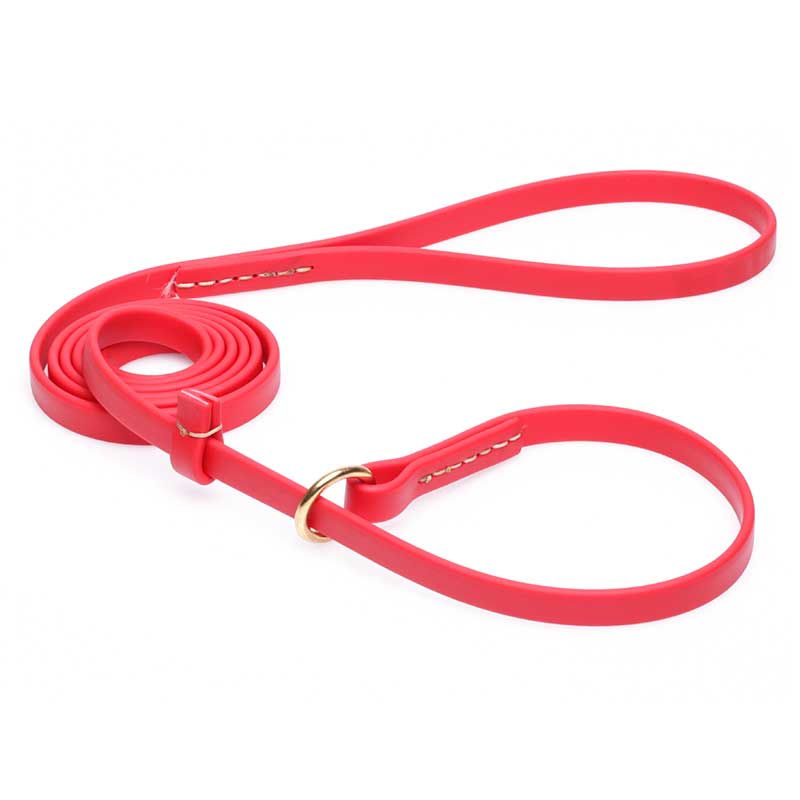 Durable Red Biothane Boxer Leash and Collar Combo
