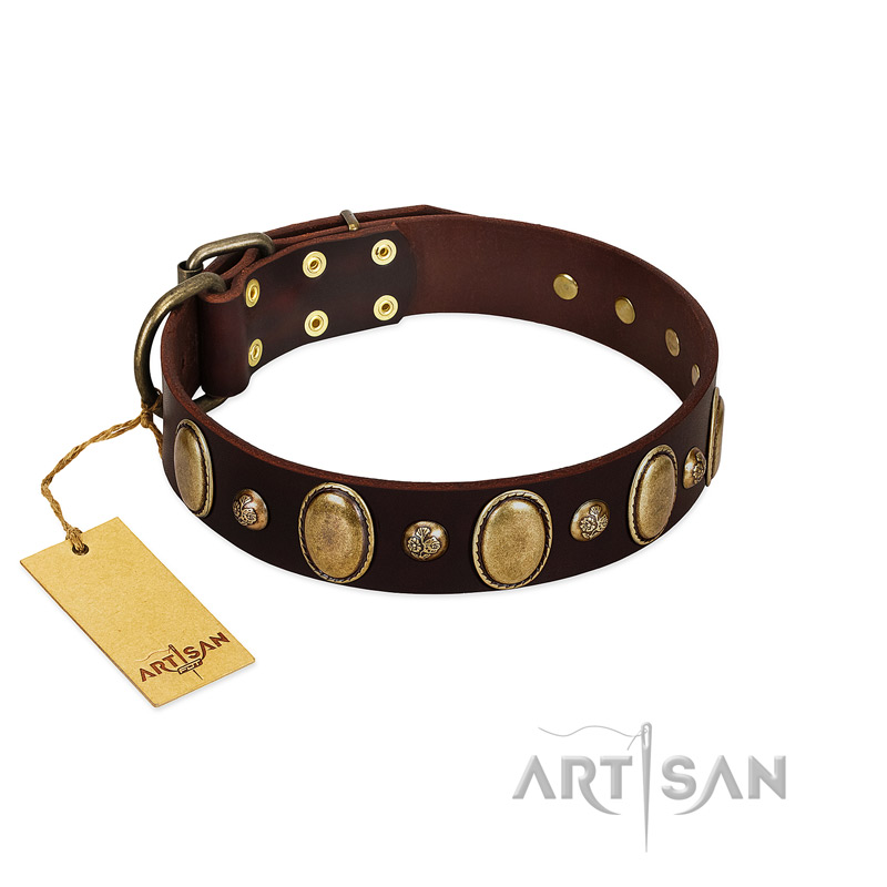 "Natural Grace" FDT Artisan Handmade Decorated Brown Leather Boxer Collar