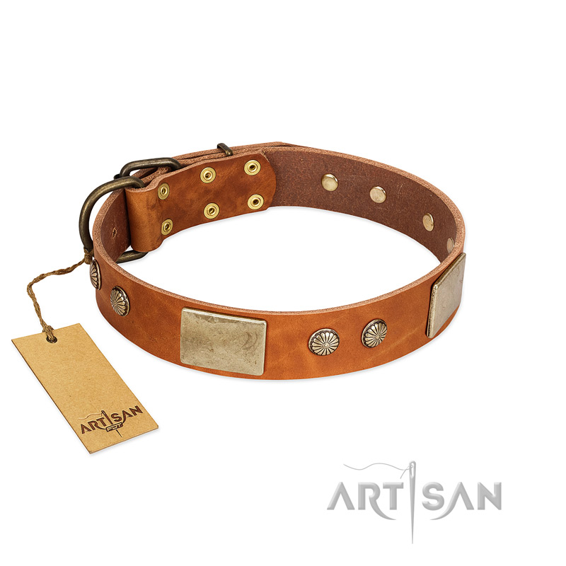 "Ancient Treasures" FDT Artisan Tan Leather Boxer Collar with Antiqued Plates and Studs