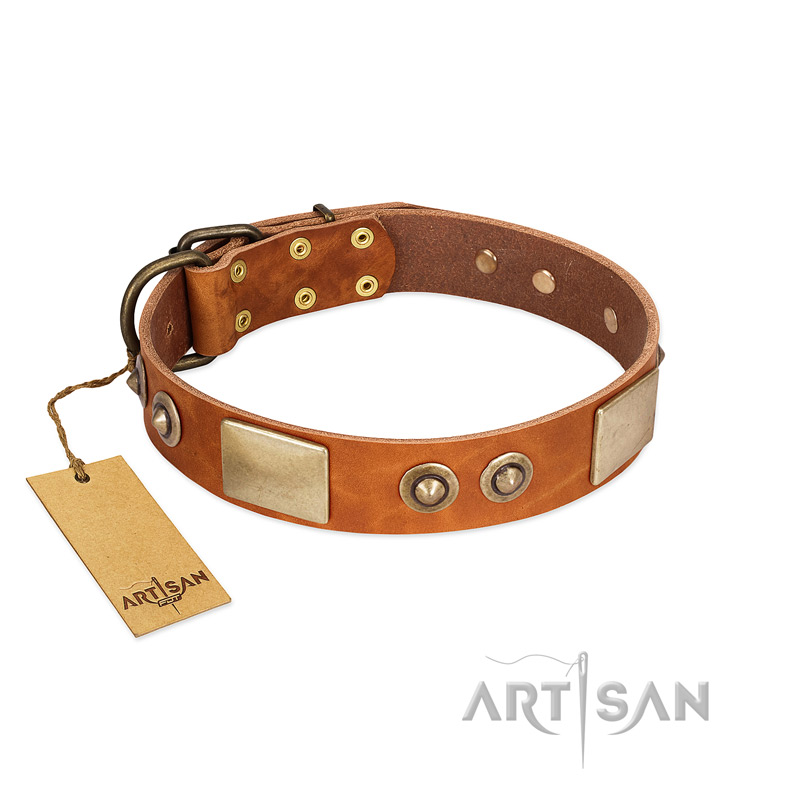 "Perfect Blend" FDT Artisan Tan Leather Boxer Collar 1 1/2 inch (40 mm) wide