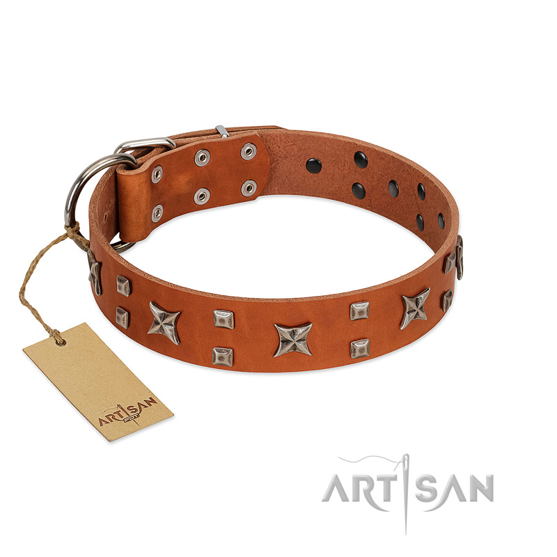 "Faraway Galaxy" FDT Artisan Tan Leather Boxer Collar Adorned with Stars and Squares