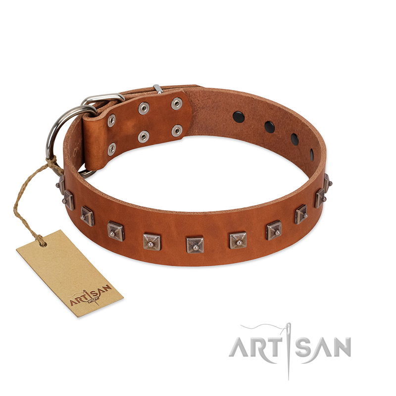 "Guard of Honour " Designer FDT Artisan Tan Leather Boxer Collar with Small Dotted Pyramids