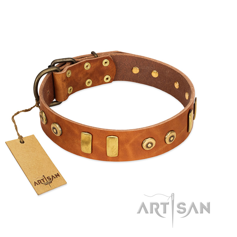 "Egyptian Script" FDT Artisan Tan Leather Boxer Collar with Plates and Small Studs