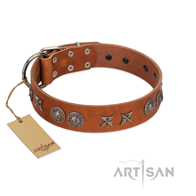 "Splendid Armor" Premium Quality FDT Artisan Tan Designer Boxer Collar with Shields and Stars