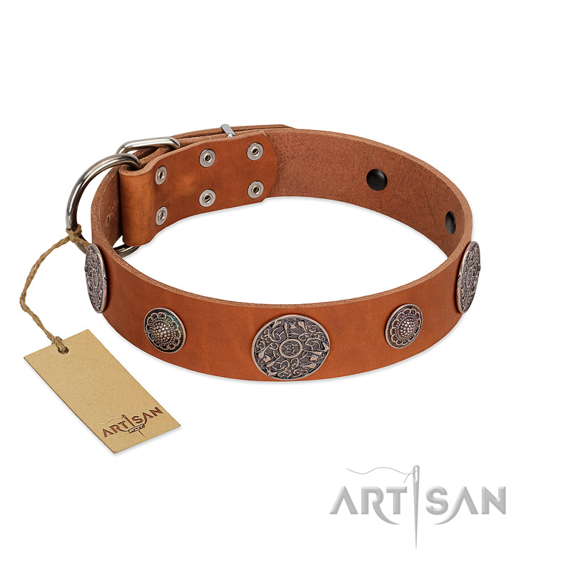 "Foxy Nature" FDT Artisan Tan Leather Boxer Collar with Chrome Plated Brooches