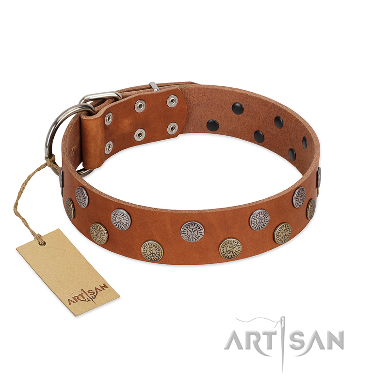 "Ancient Symbol" Trendy FDT Artisan Tan Leather Boxer Collar with Silver- and Gold-Like Studs