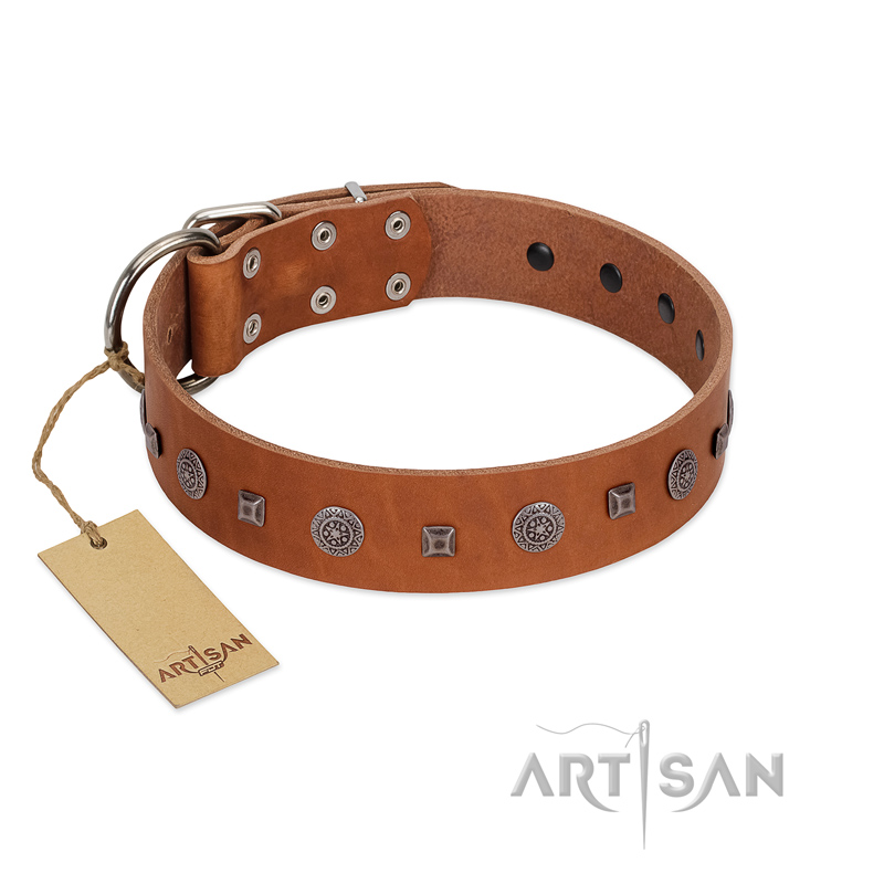 "Sweet Caramel" Designer FDT Artisan Tan Leather Boxer Collar